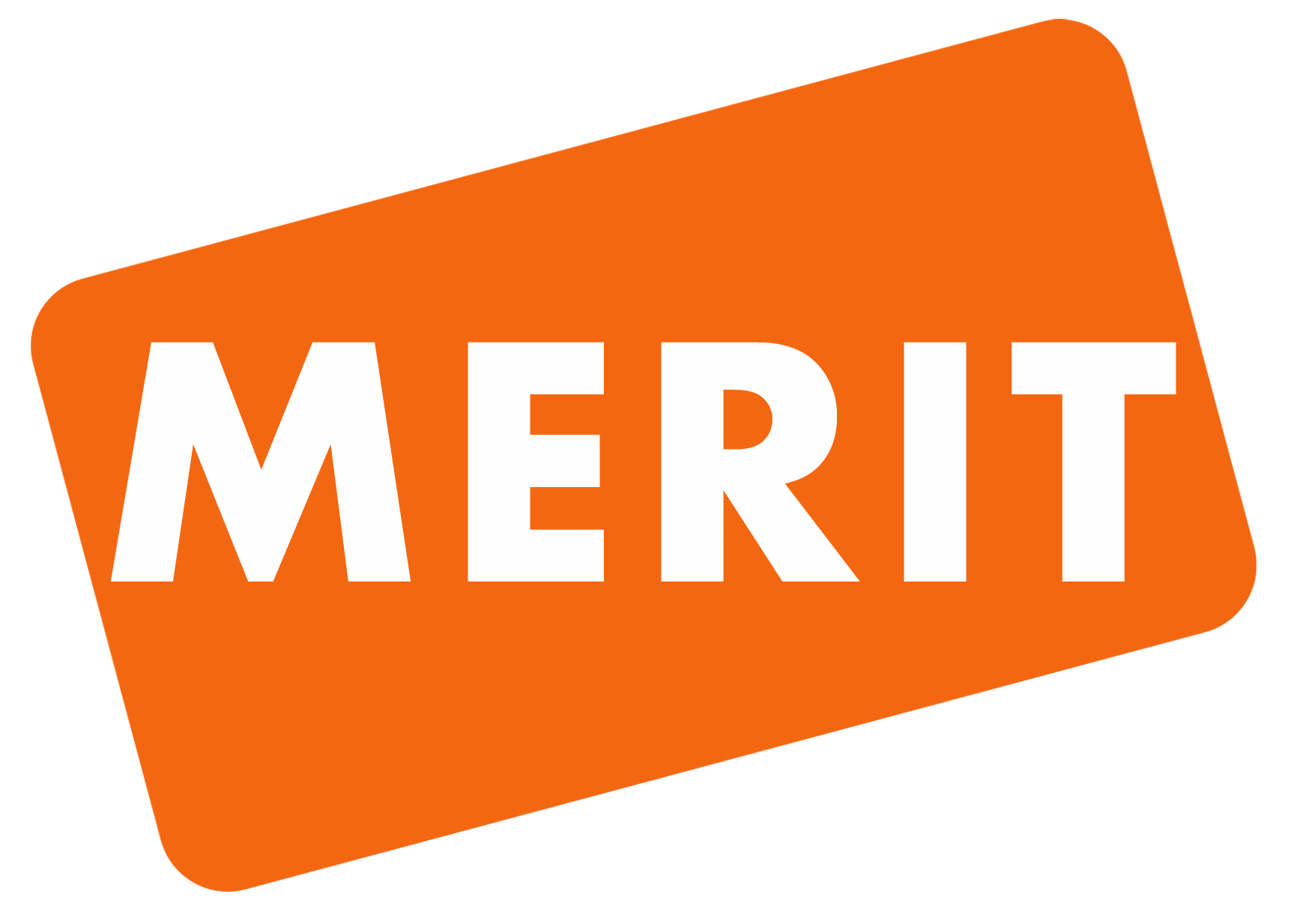 Merit Skills Academy Logo